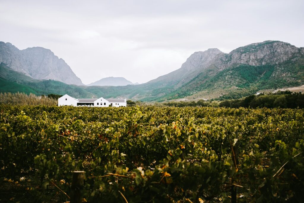 Lifestyle experience in a relaxed South African setting
